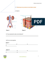 82109_ficha_de_trabalho_7.pdf