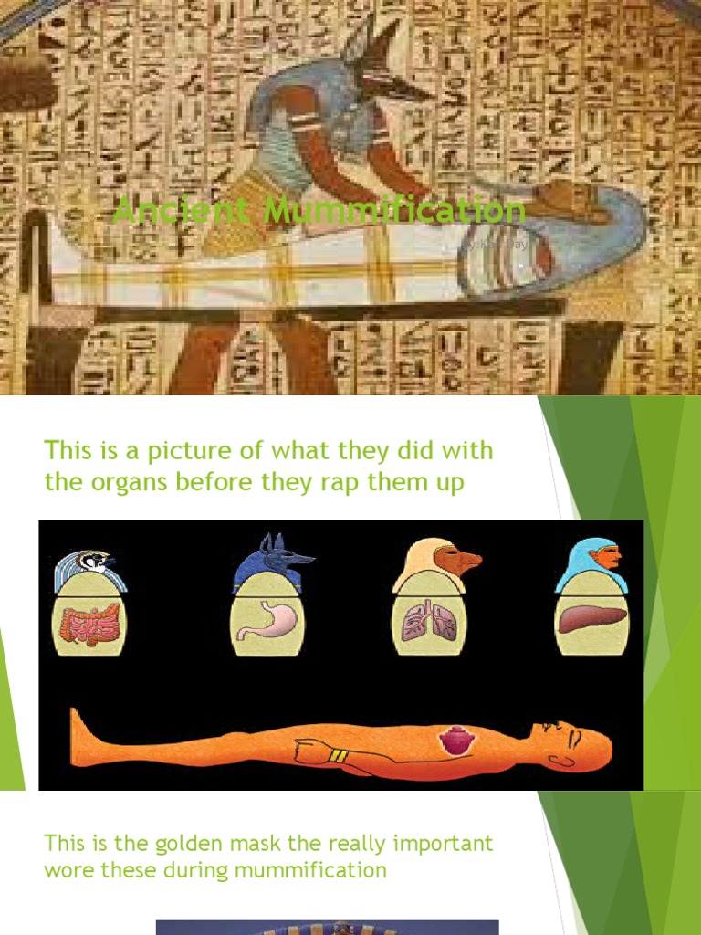 Ancient Mummification Process | PDF