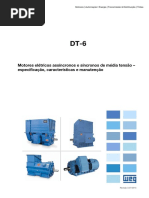 WEG-curso-dt-6-motores-eletricos-assincrono-de-alta-tensao-artigo-tecnico-portugues-br.pdf