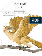 SA Origin Bird FlightKPLC
