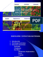 Morfología y Estructura Bacteriana