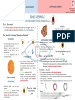 ACOS.pdf