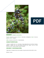 ENEBRO Juniperus Communis L
