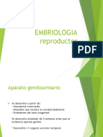 Embriologia de Reproductor