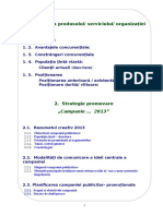 Structura Strategie PUB MODEL 2012_13