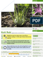 Kohl Rabi