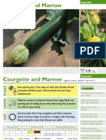 Courgette and Marrow