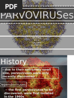 Parvovirus Final