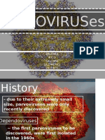 Parvovirus Final