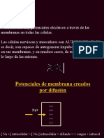 Potencial de Membrana