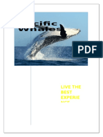 Pacific Whales: Live The Best Experie NCE