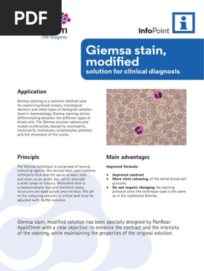 Ip 014 Giemsa Stain En Staining Immunohistochemistry