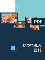 Raport Anual Ro 2013