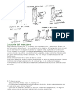 La Poda Del Manzano