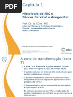 1 Histologia de NIC Pn