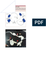 heart model comparison