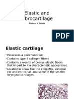 Elastic and Fibrocartilage