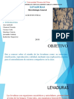 LEVADURAS MICROBIOLOGIA Termi PDF