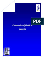 Flotacion PDF