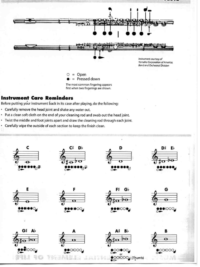 Flute Fingering Chart Page 1 PDF