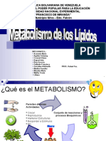 MORFO - Metabolismo de Los Lípidos