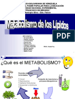 MORFO - Metabolismo de los Lípidos