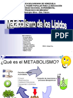 MORFO - Metabolismo de Los Lípidos