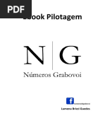 APOSTILA pilotagem