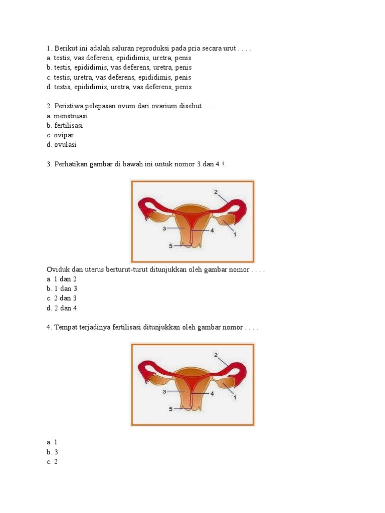 Oviduk Dan Uterus Berturut Turut Ditunjukkan Oleh Gambar Nomor