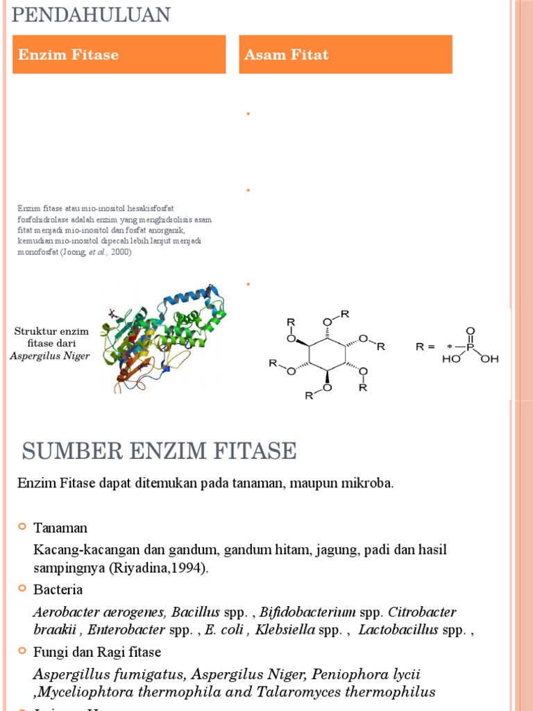 Enzim Fitase | PDF