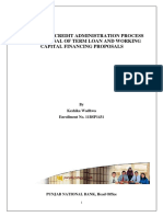 Project Report PNB PDF
