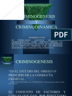 Criminogenesis PDF
