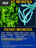 Aula CSM - Reino Monera 2