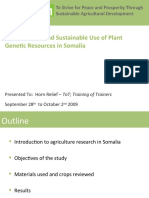 Improvement and Sustainable Use of Plant Genetic Resources in Somalia