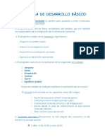 Programadesarrollobasico PDF