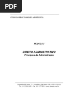 damásio-administrativo