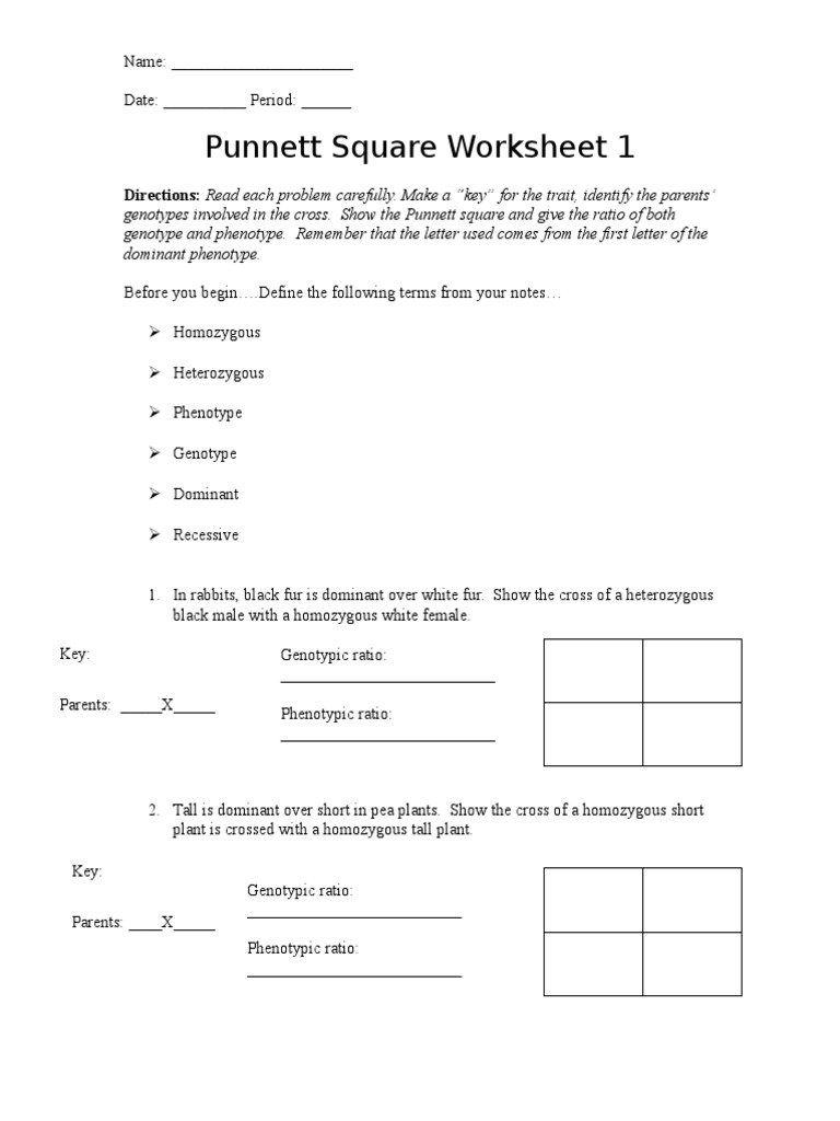 Worksheets Punnett Square Worksheet Answers punnett square worksheet 1 zygosity genotype