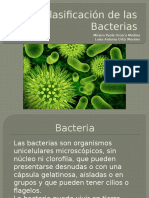 clasificacindelasbacterias-131107204235-phpapp01