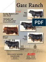 Open Gate Ranch: 100 Bulls Sell