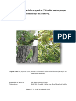 Monitoreo de Loros y Pericos en Monterrey, N.L. México