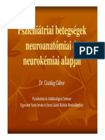 Klinikai Szakpszichológus Képzés Neuroanatómia Neurokémia4 Kompatibilitási Mód