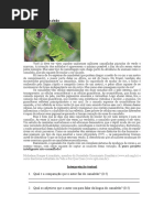 As Cores Do Camaleao