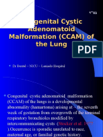 Cystic Adenomatoid Malformation (CAM)