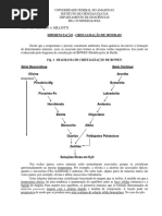 D_ Diagrama Bowen (1)