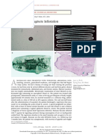 Taenia Saginata Infestation: Images in Clinical Medicine