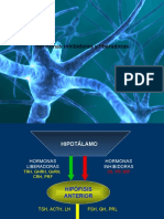 Hormonas Inhibidoras y Liberadoras