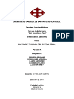 Anatomia y Fisiologia Del Sistema Renal