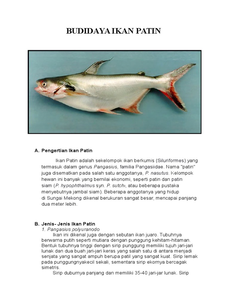 Budidaya Ikan Patin Pdf