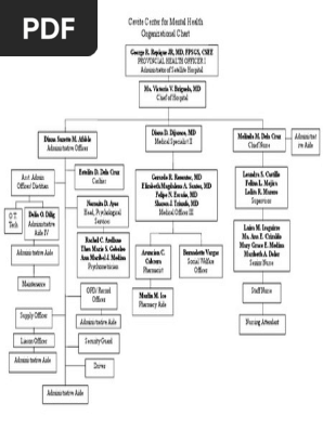 Organizational Chart