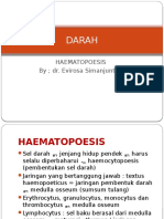 Haematopoesis.pptx